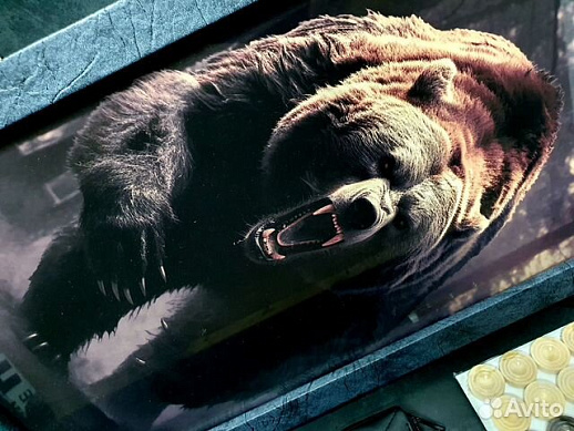 Эксклюзивные нарды «Хозяин тайги»